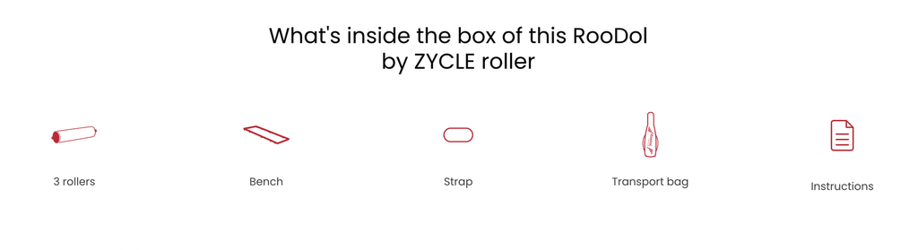 ZYCLE RooDol by Zycle Compact Alu